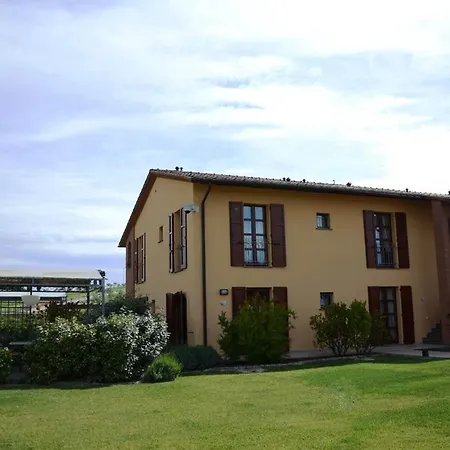 Girasoli Peccioli